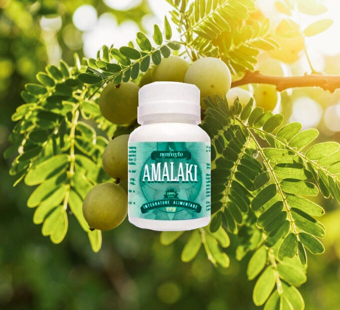 Amalaki: il Frutto Sacro dell'Ayurveda tra Vitamina C e Tradizione Ringiovanente