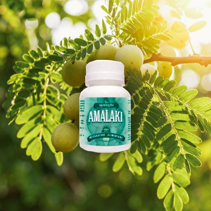 Amalaki: il Frutto Sacro dell'Ayurveda tra Vitamina C e Tradizione Ringiovanente