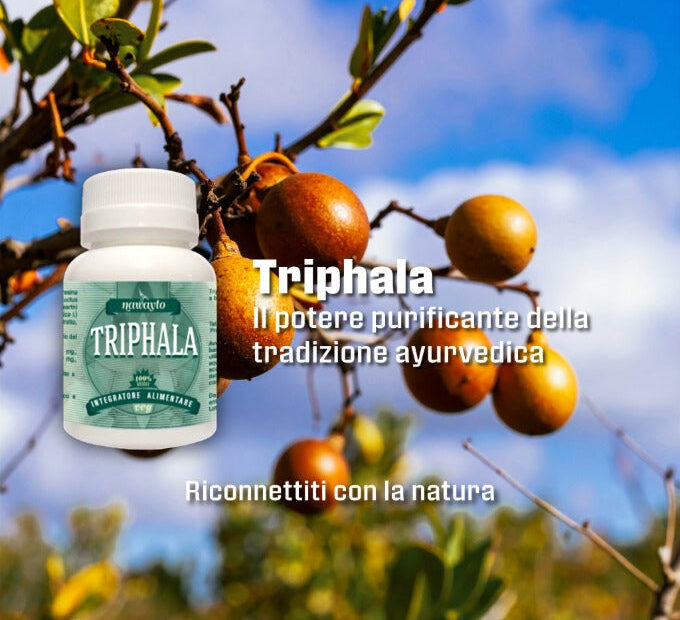 Triphala: il Trio di Frutti che l'Ayurveda Considera un Alleato dell'Equilibrio