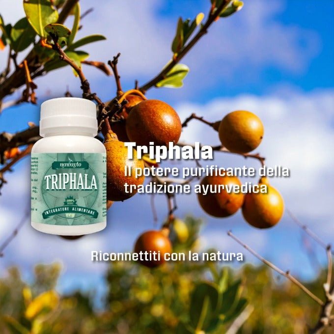 Triphala: il Trio di Frutti che l'Ayurveda Considera un Alleato dell'Equilibrio