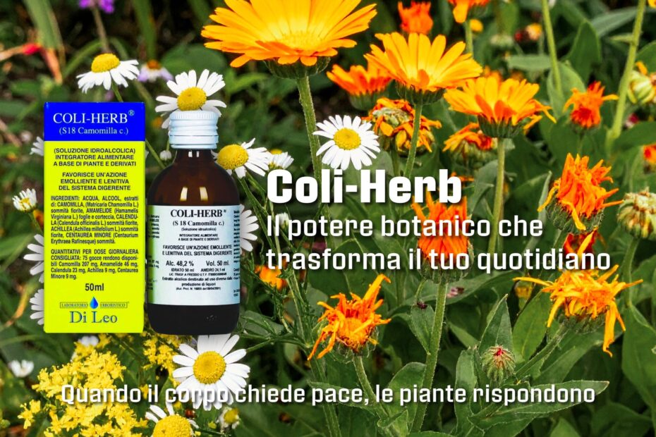 Cinque Piante, Un Solo Obiettivo: la Tradizione Erboristica al Servizio dell'Intestino